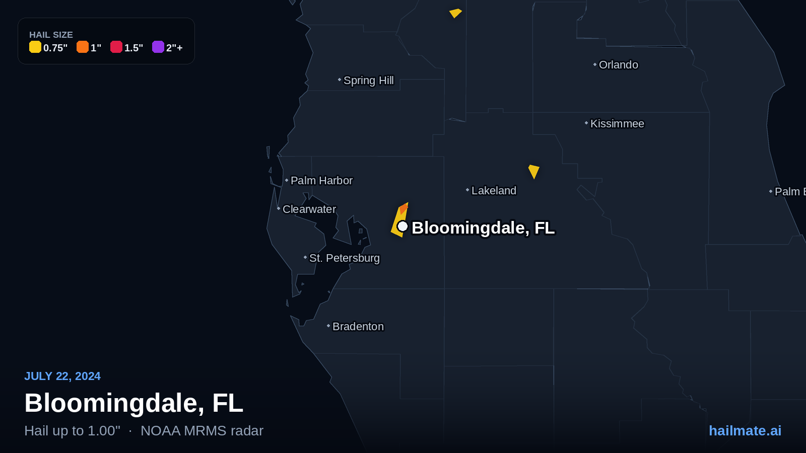 Hail swath map for Bloomingdale, FL on July 22, 2024 showing 1.00 inch hail.