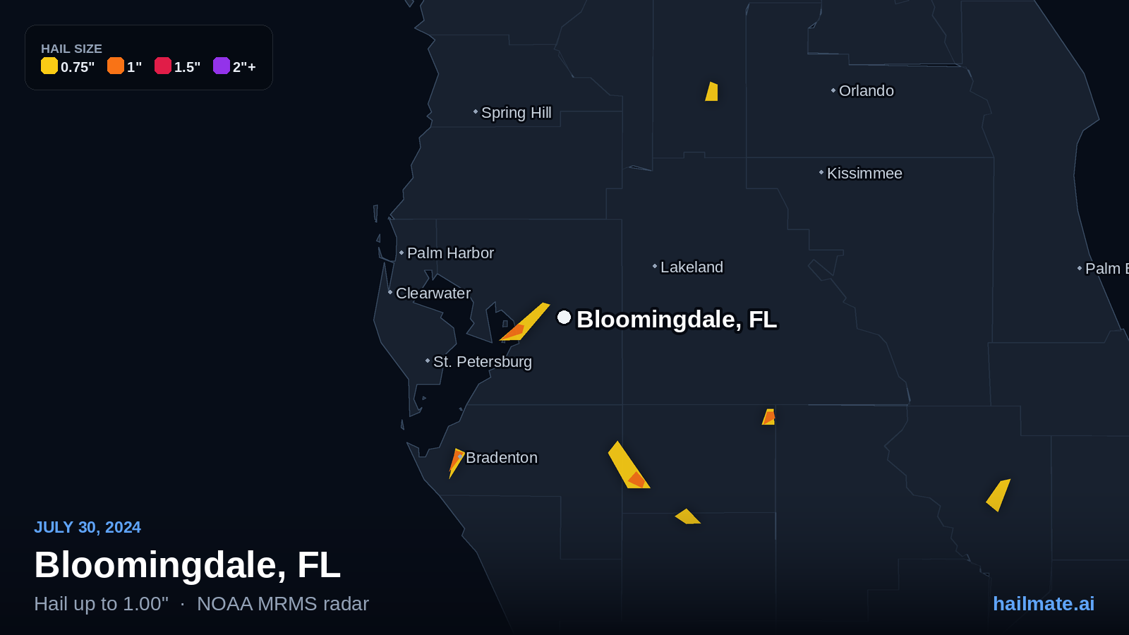 Hail swath map for Bloomingdale, FL on July 30, 2024 showing 1.00 inch hail.