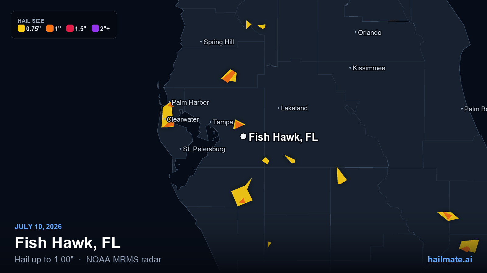 Hail swath map for Fish Hawk, FL on July 10, 2026 showing 1.00 inch hail.