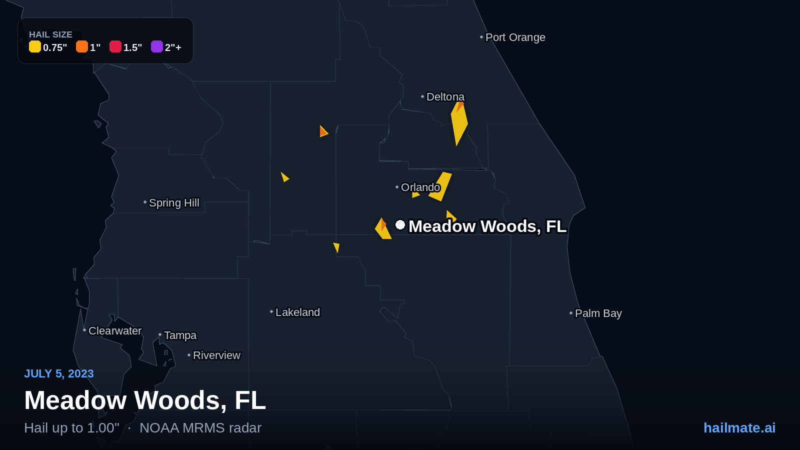 Hail swath map for Meadow Woods, FL on July 5, 2023 showing 1.00 inch hail.