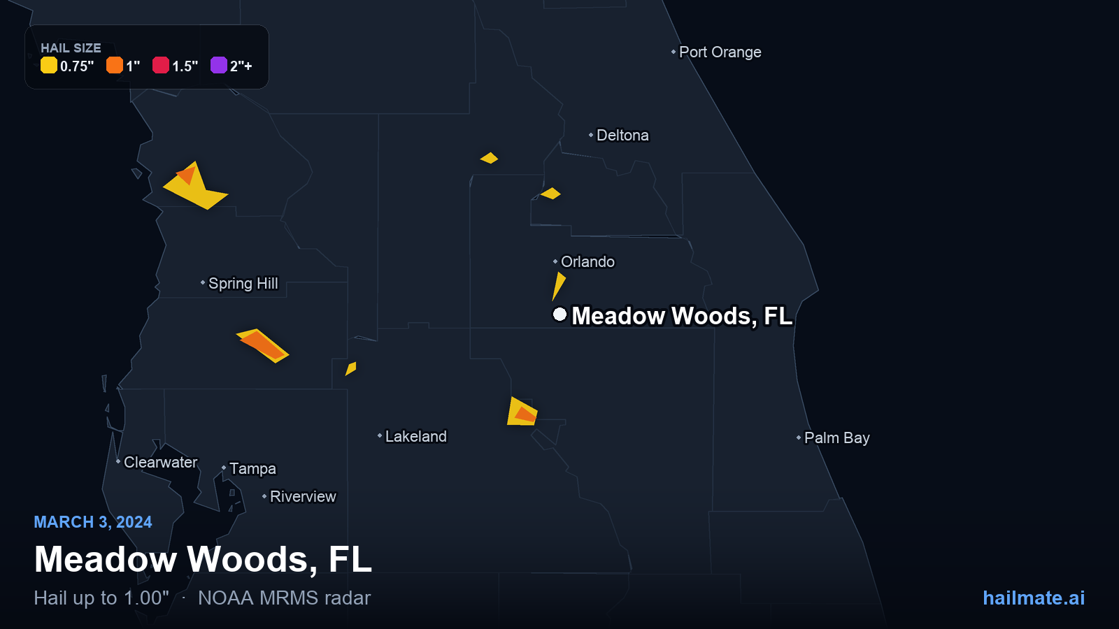 Hail swath map for Meadow Woods, FL on March 3, 2024 showing 1.00 inch hail.