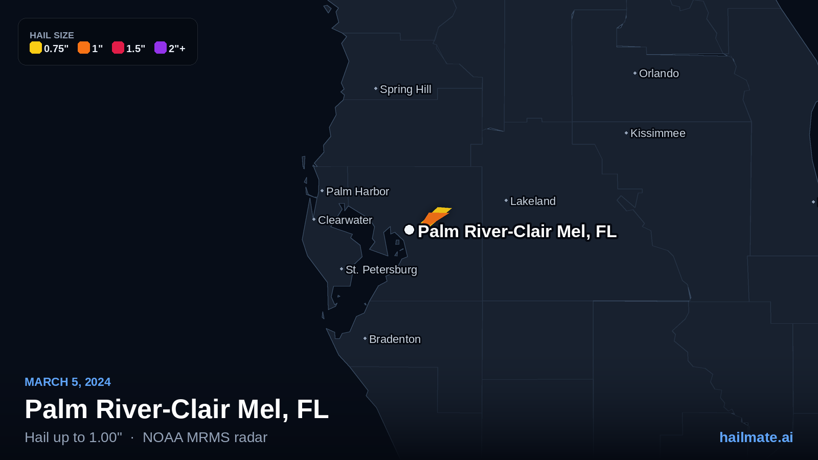 Hail swath map for Palm River-Clair Mel, FL on March 5, 2024 showing 1.00 inch hail.