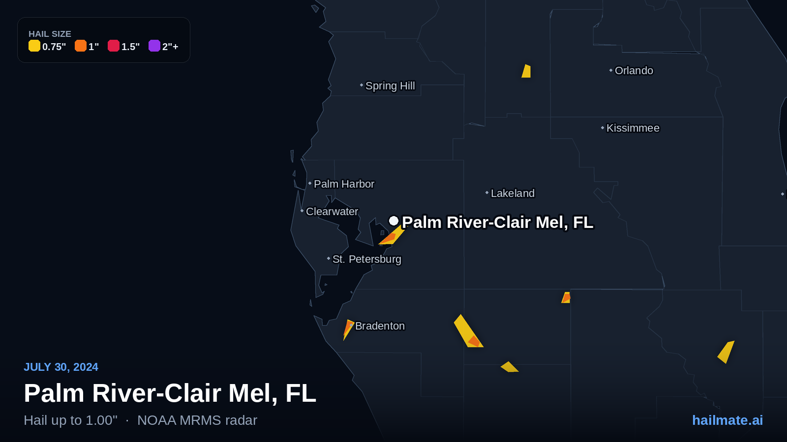 Hail swath map for Palm River-Clair Mel, FL on July 30, 2024 showing 1.00 inch hail.