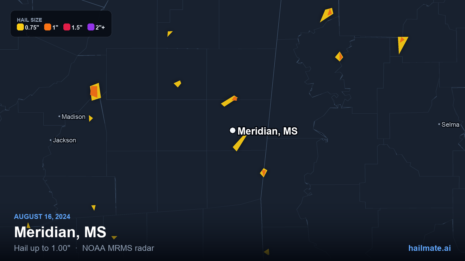 Hail swath map for Meridian, MS on August 16, 2024 showing 1.00 inch hail.
