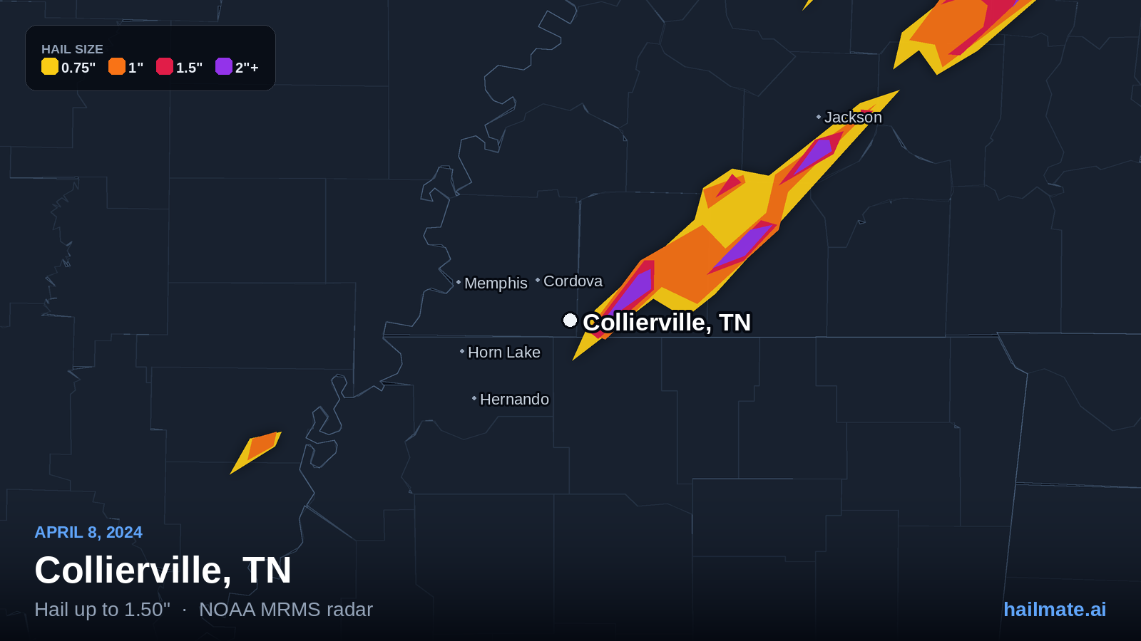 Hail swath map for Collierville, TN on April 8, 2024 showing 1.50 inch hail.